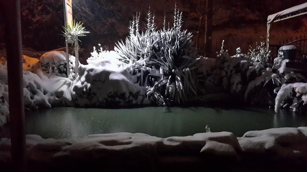 Alesta Butik Otel Ağva Εξωτερικό φωτογραφία